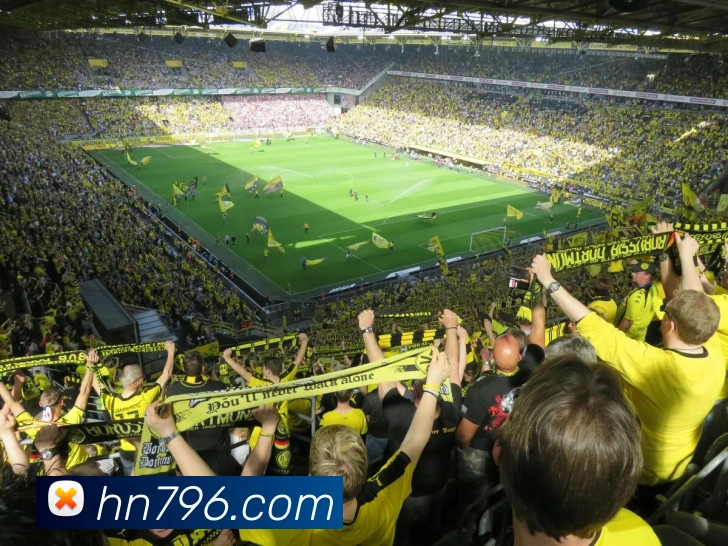 mksports官网登录入口发展历程